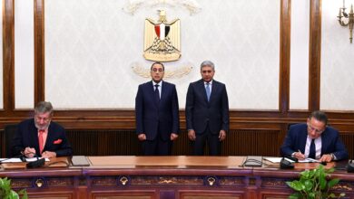 صن رايز وماينور