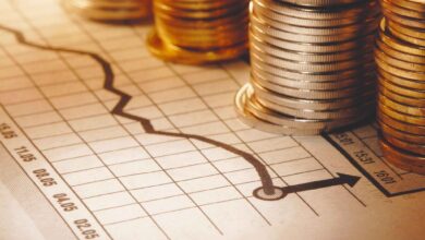 إصدار صكوك مزدوج الشريحة