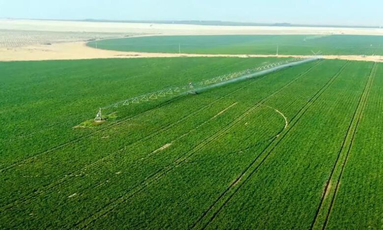 مشروع الدلتا الجديدة