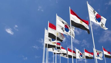 الاستثمارات الأجنبية الكورية