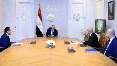 اجتماع الرئيس السيسي