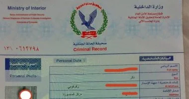 الفيش الجنائي