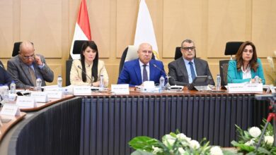 المجموعة الوزارية للتنمية الصناعية