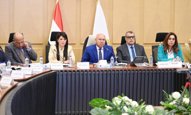 المجموعة الوزارية للتنمية الصناعية