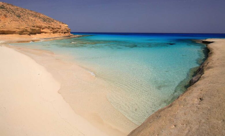 استثمارات قطرية