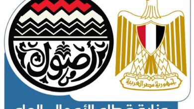 حسن علام