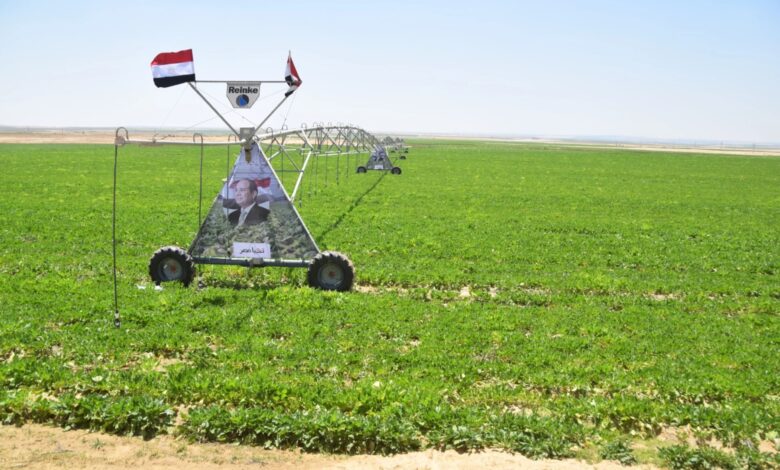 الريف المصري الجديد