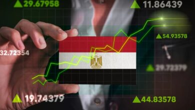 مؤشر نضج الحكومة الرقمية