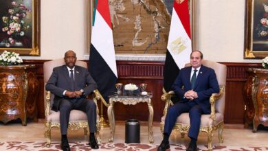 الرئيس السيسي