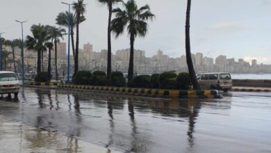 نوة قاسم