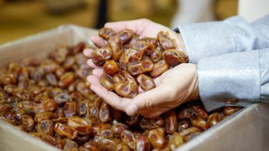 التمور الإسرائيلية