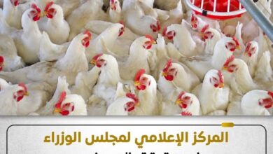 مرض انفلونزا الطيور