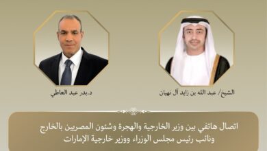 وزير الخارجية ونظيره الإماراتي