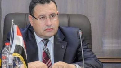 عبد العزيز قنصوة