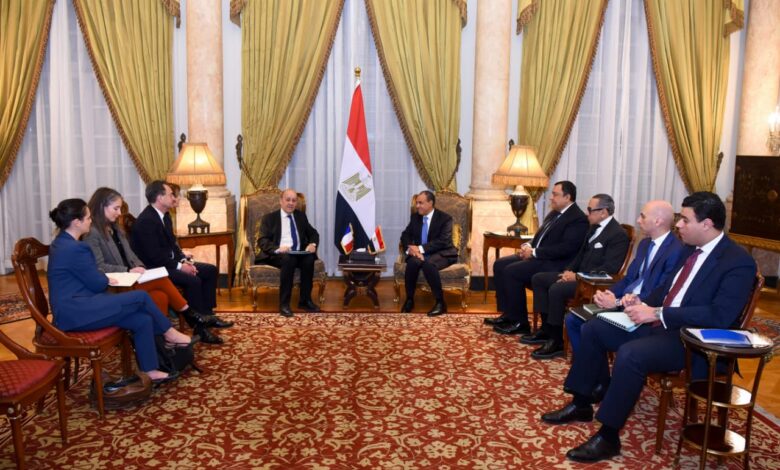 وزير الخارجية بدر عبدالعاطي