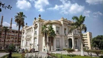 جامعة عين شمس الأهلية