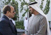 الرئيس السيسي وبن زايد