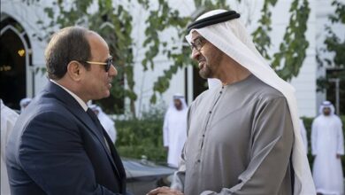 الرئيس السيسي وبن زايد