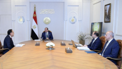 الرئيس السيسي