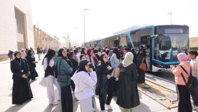 برامج الهيئات الشبابية