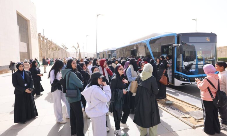 برامج الهيئات الشبابية
