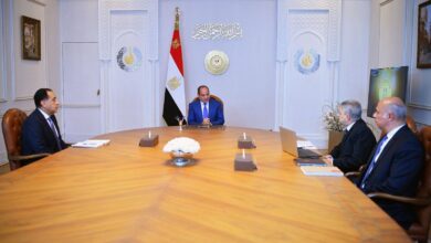 اجتماع الرئيس السيسي