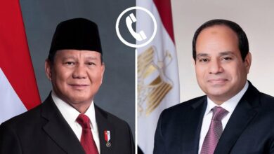 الرئيس السيسي ونظيره الإندونيسي