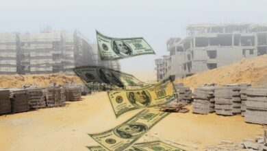 تخصيص أراضي الاستثمار في المدن الجديدة