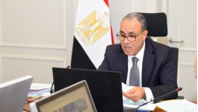 وزير الخارجية بدر عبد العاطي