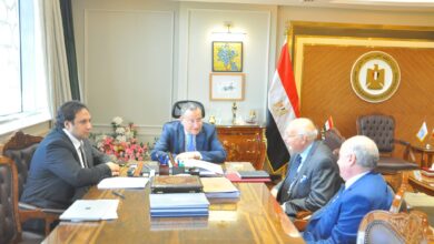 الجامعة الإسبانية في مصر