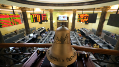 مصر لتأمينات الحياة