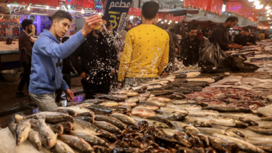 تصدير منتجات الاستزراع السمكي