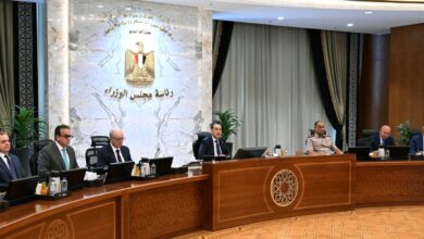 الصندوق التكافلي لدعم الأسرة المصرية