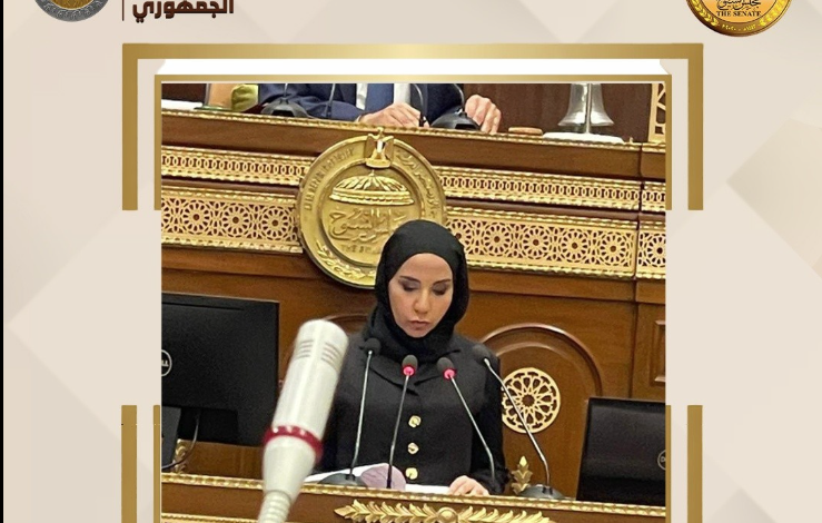 النائبة ولاء هرماس