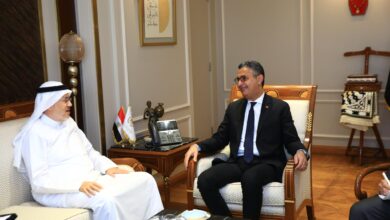 المؤسسة الدولية الإسلامية