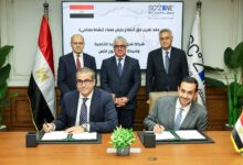 ستيل كون المصرية