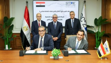 ستيل كون المصرية