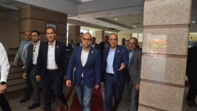 المنطقة الحرة بالعامرية