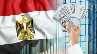 جهاز تنمية المشروعات