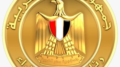 حريق سفينتين في ميناء دمياط